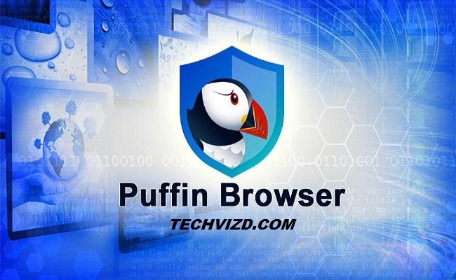 puffin free download windows