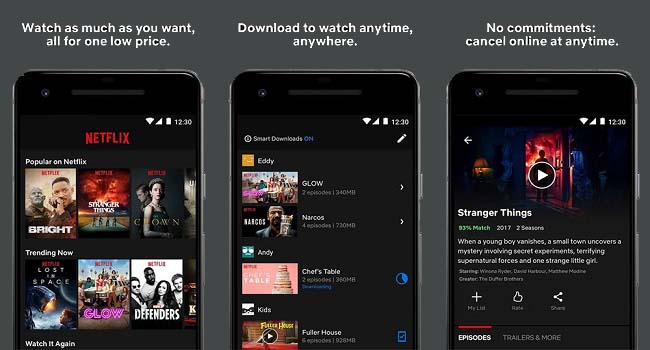 Netflix MOD APK